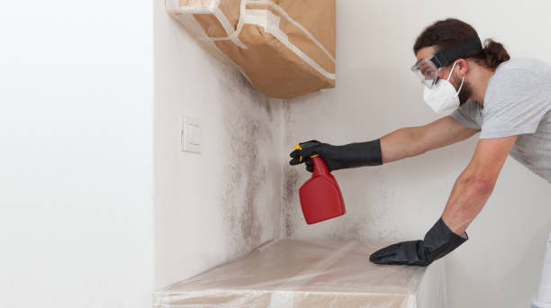 Professional Attic Mold Removal technician working in Newaygo, MI