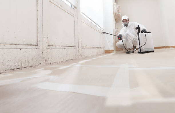 24/7 Emergency Attic Mold Removal experts in Newaygo, MI